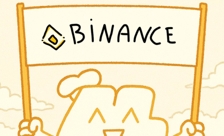 BNB-Kursziel bei 1.180 $ Rückgang inmitten des Memecoin-Wahnsinns