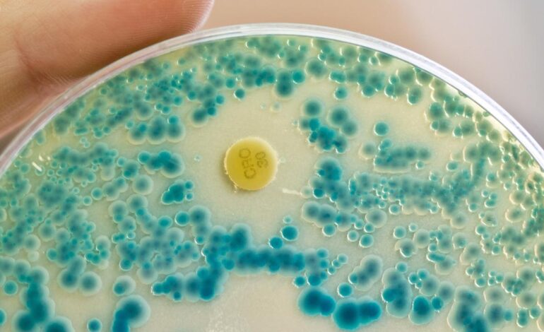 Warnung der WHO: Immer mehr Antibiotika wirken nicht mehr